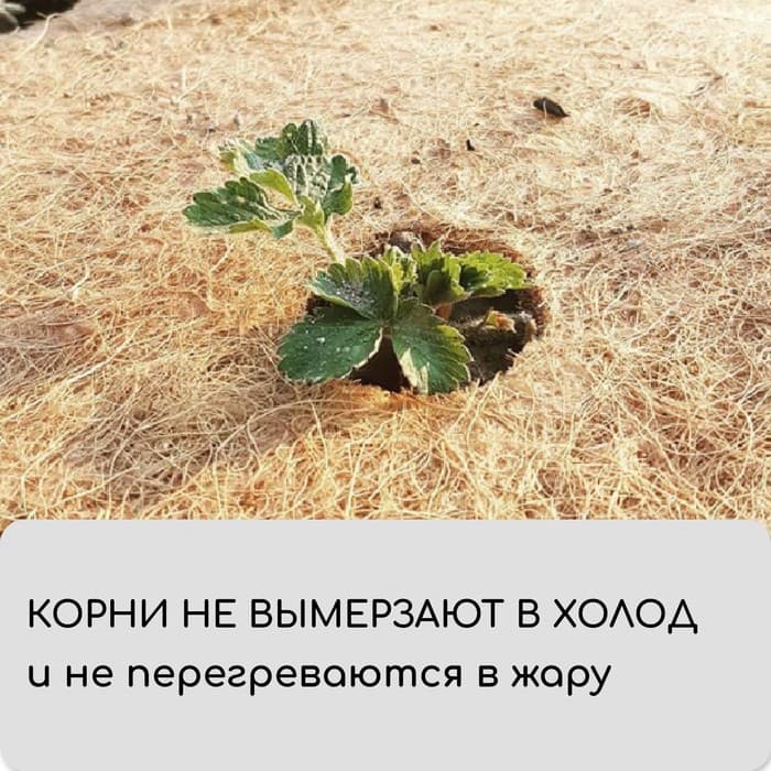 Мульча кокосовая в рулоне, 3×0.5 м, Greengo