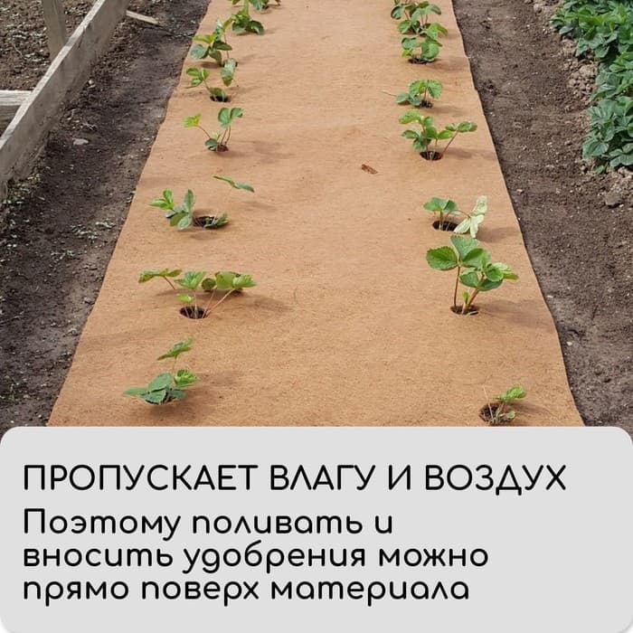 Мульча кокосовая в рулоне, 5×0.5 м, Greengo