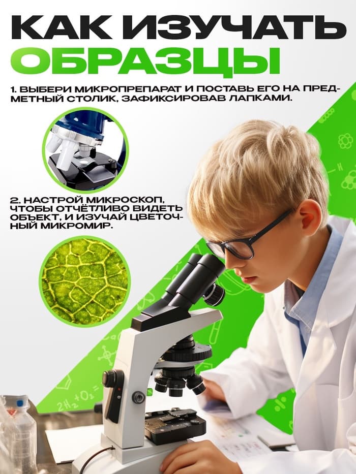 Набор для опытов «Набор микропрепаратов», цветы