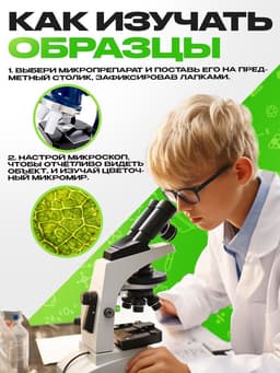 Набор для опытов «Набор микропрепаратов», цветы