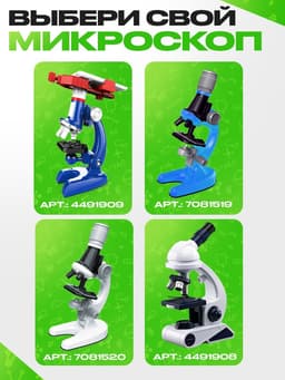 Набор для опытов «Набор микропрепаратов», цветы