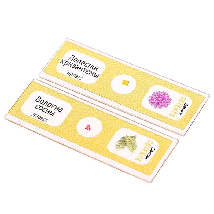 Набор для опытов «Набор микропрепаратов», цветы