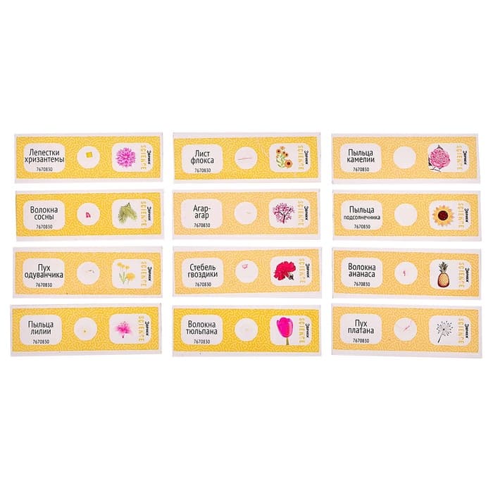 Набор для опытов «Набор микропрепаратов», цветы