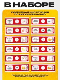 Набор для опытов «Набор микропрепаратов», животные