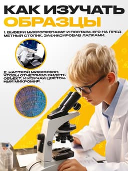 Набор для опытов «Набор микропрепаратов», животные