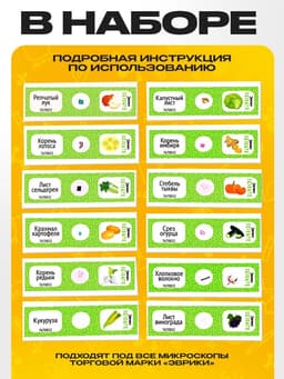 Набор для опытов «Набор микропрепаратов», растения