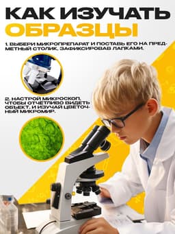 Набор для опытов «Набор микропрепаратов», растения