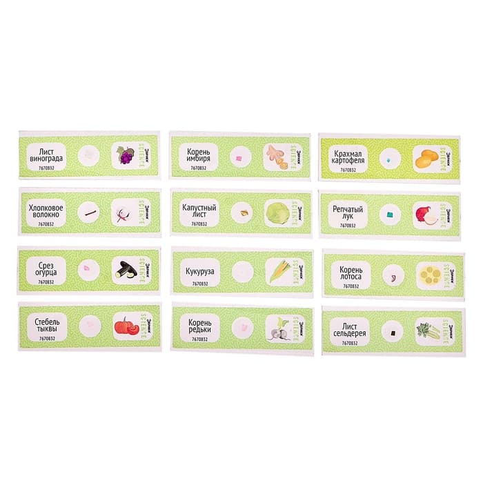 Набор для опытов «Набор микропрепаратов», растения