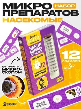 Набор для опытов «Набор микропрепаратов», насекомые