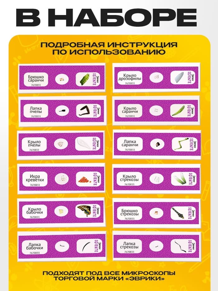 Набор для опытов «Набор микропрепаратов», насекомые