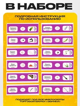 Набор для опытов «Набор микропрепаратов», насекомые