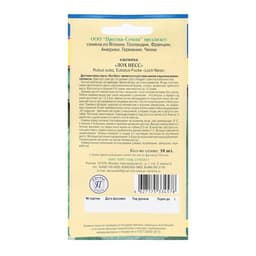 Семена Ежевика ремонтантная «Лох Несс», 10 шт., «Престиж семена»
