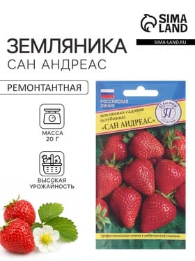 Семена Земляника ремонтантная «Сан Андреас», 0.01 г, «Престиж семена»