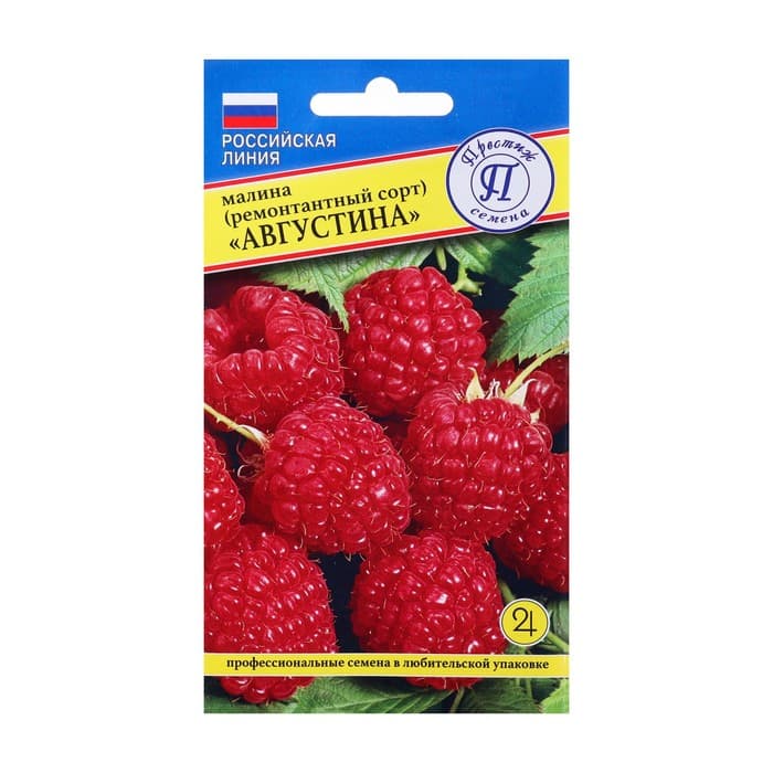 Семена Малина ремонтантная «Августина», 10 шт., «Престиж семена»