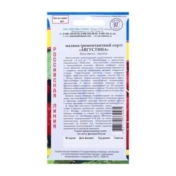Семена Малина ремонтантная «Августина», 10 шт., «Престиж семена»
