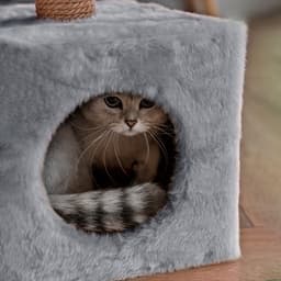 Домик для животных с когтеточкой, 32×32×64 см, с полкой, джут, серый