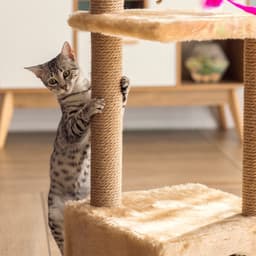 Домик для кошек с когтеточкой, 37×37×111 см, с двумя полками, джут, бежевый
