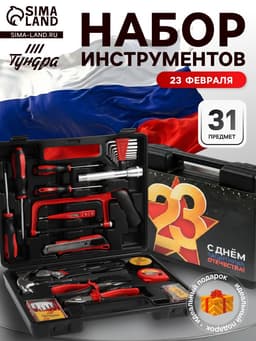 Набор инструментов в кейсе ТУНДРА «23 ФЕВРАЛЯ», в подарочной упаковке, 31 предмет