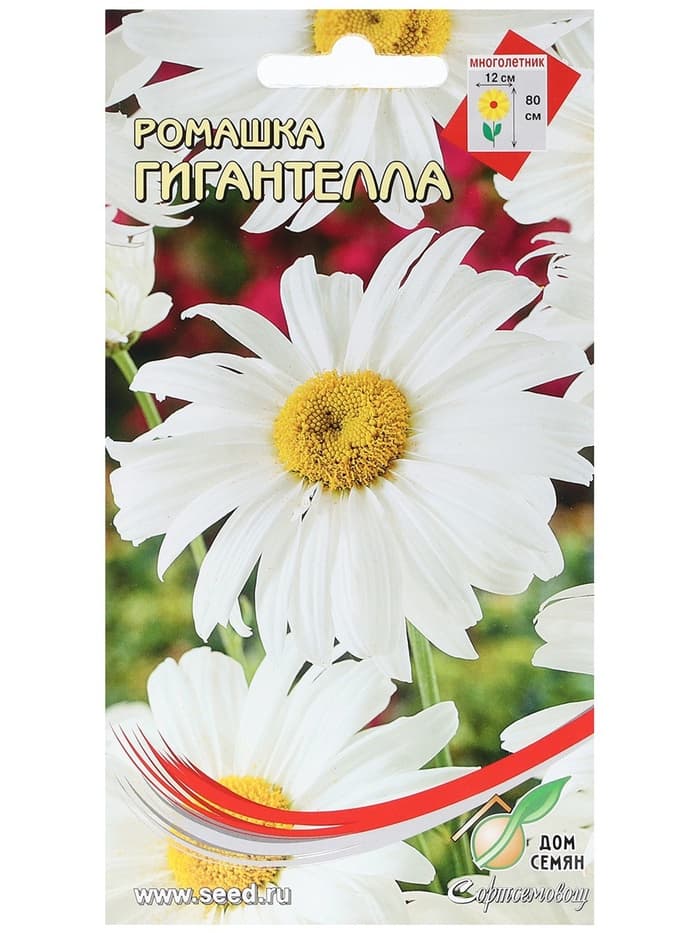 Семена Ромашка "Гигантелла",  70 шт
