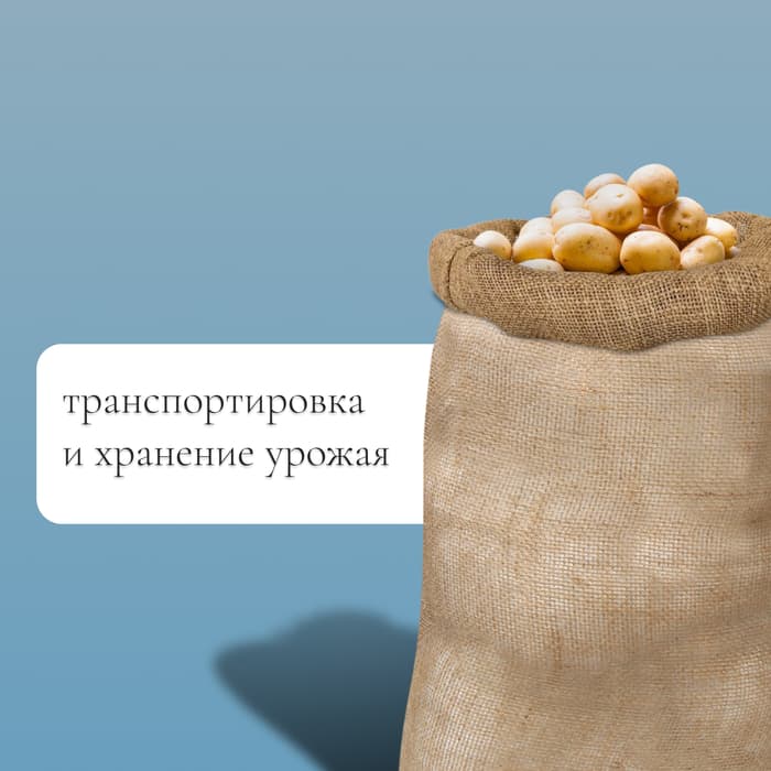 Мешок джутовый, 50×80 см, плотность 26×26 нитей, без завязок, Greengo