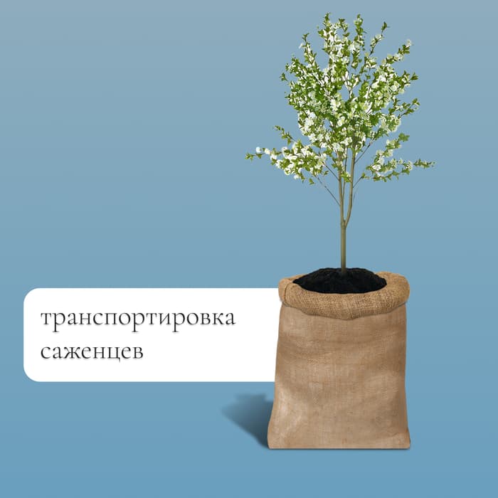 Мешок джутовый, 57×90 см, плотность 32×32 нитей, без завязок, Greengo