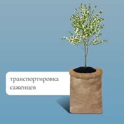 Мешок джутовый, 74×114 см, плотность 32×32 нитей, без завязок, Greengo