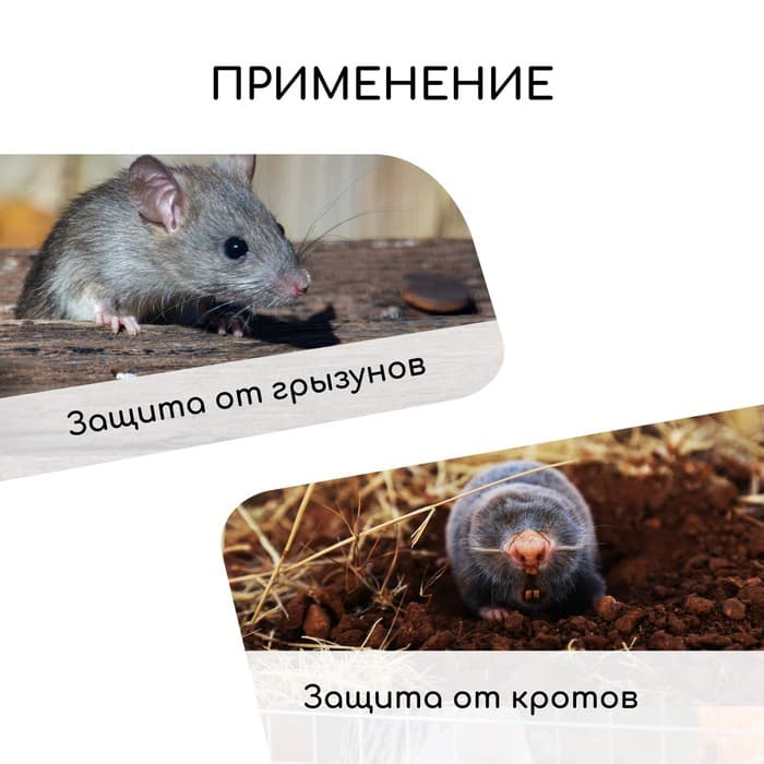 Сетка оцинкованная, сварная, 10×1 м, ячейка 20×20 мм, d=0.7 мм, Greengo
