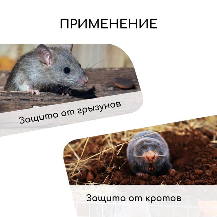 Сетка оцинкованная, сварная, 10×1 м, ячейка 6×6 мм, d=0.4 мм, Greengo