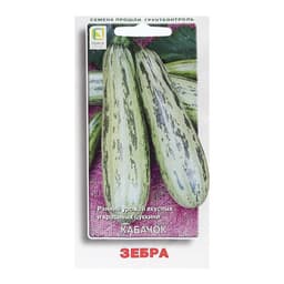 Семена Кабачок «Зебра», 12 шт., «Поиск»