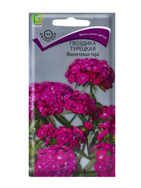 Семена цветов Гвоздика Турецкая «Фиолетовая гора» 0.25 г