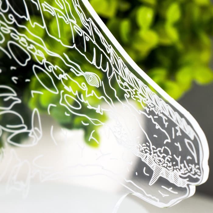 Светильник 3D RISALUX «Дракон», LED-ночник, белый 15×9.5×11 см