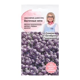 Семена Цветов Алиссум "Восточные ночи", 0,1 г