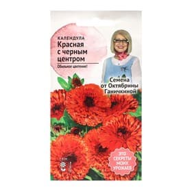 Семена Цветов Календула «Красная с чёрным центром», 0.3 г