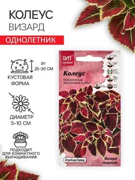 Семена Цветов Колеус "Визард", 10 шт
