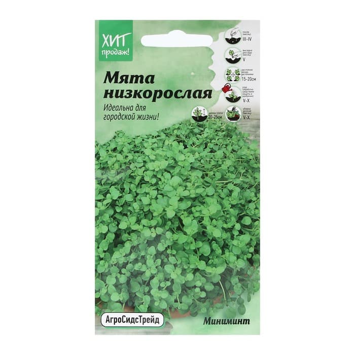 Семена Мята низкорослая «Миниминт», 3 шт., «АгроСидсТрейд»