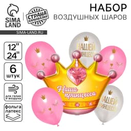 Воздушные шары, букет «Нашей принцессе», набор 6 шт.