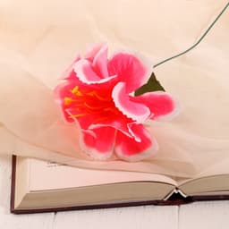 Цветы искусственные «Бегония криспа», h=27 см, d=11 см, ярко-розовые