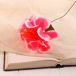 Цветы искусственные «Бегония криспа», h=27 см, d=11 см, ярко-розовые