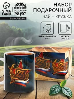 Подарочный набор «23 февраля», чай чёрный со вкусом лимона 50 г, кружка 300 мл.