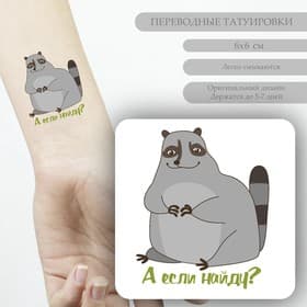 Переводная тату на тело цветная «Енот: А если найду?», 6×6 см