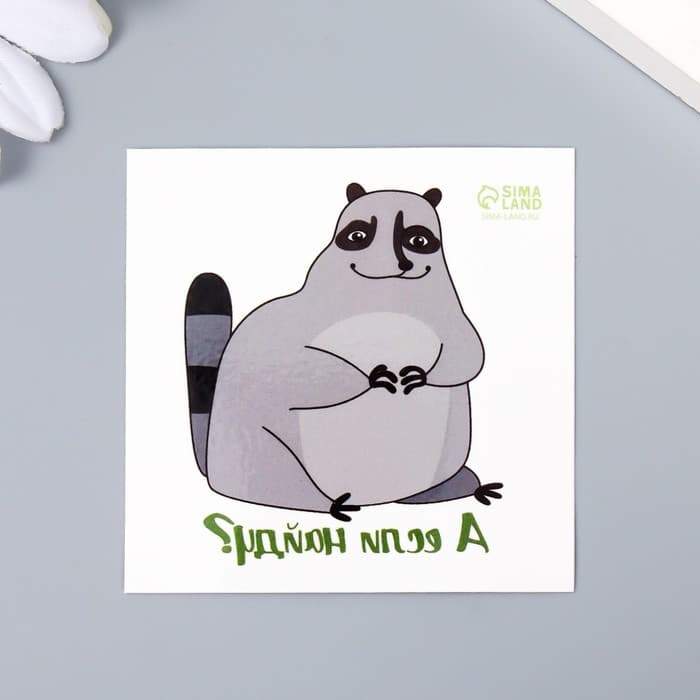 Переводная тату на тело цветная «Енот: А если найду?», 6×6 см