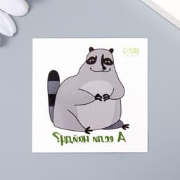 Переводная тату на тело цветная «Енот: А если найду?», 6×6 см