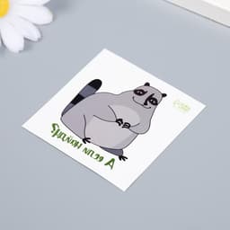 Переводная тату на тело цветная «Енот: А если найду?», 6×6 см