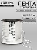 Лента для декора и подарков, серебряный, металлизированная, 0.5 см × 225 м ±5%