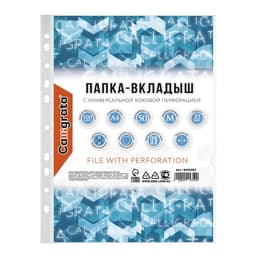 Файл - вкладыш Calligrata, А4, 35 мкм, матовый, вертикальный, 100 штук