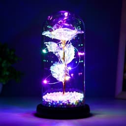 Фигурка светящаяся колба RISALUX «Яркий цветок», LED-ночник, от батареек 3ААА, 11×11×22 см