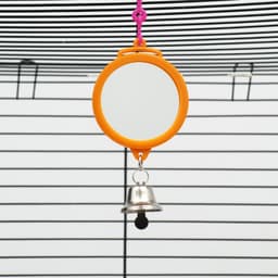 Набор игрушек для птиц, 35×28 см, 5 предметов: ванночка, кормушка, зеркальце, качели, лесенка