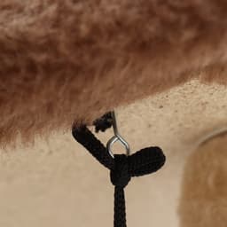 Комплекс для кошек, 77×90×163 см, разборный, с когтеточкой, 8 уровней, бежевый