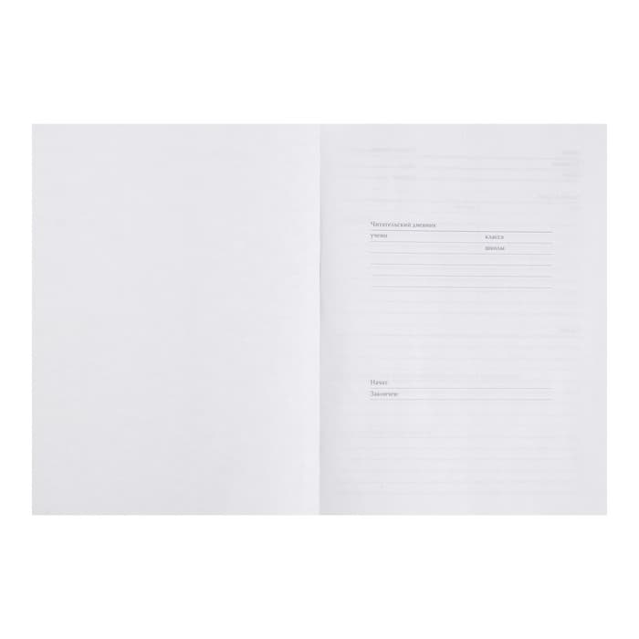 Читательский дневник А5, 40 листов на скрепке «Девочка с книгой», обложка мелованный картон, глянцевая ламинация