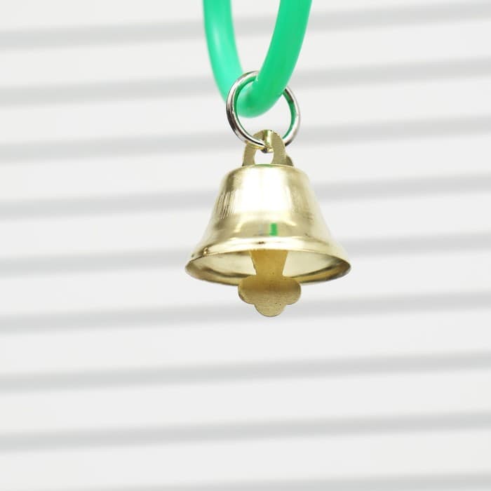 Игрушка для птиц «Разноцветные кольца» 5 шт., пластик, разноцветная